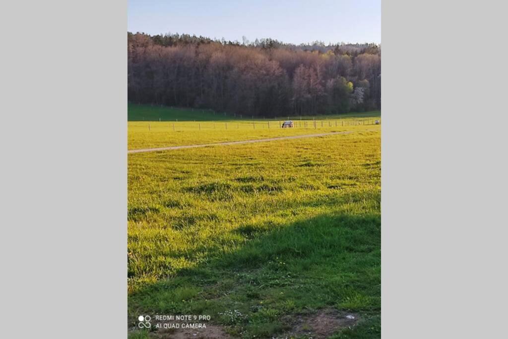 Schoene Helle Ferienwohnung In Waldnaehe Berching Eksteriør bilde